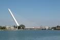 Alamillo Bridge to jeden z najbardziej charakterystycznych mostów w Sewilli