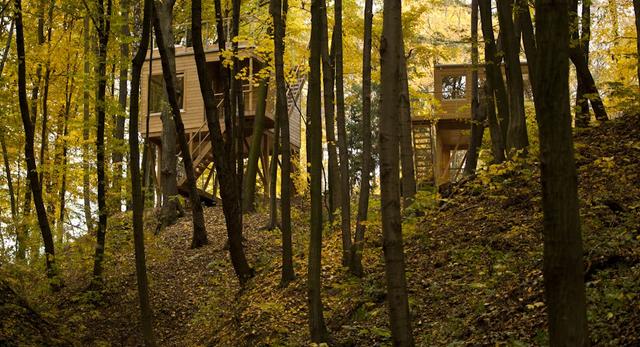 W DRZEWACH – osobliwe apartamenty w koronach drzew. Niezwykły hotel w nałęczowskim wąwozie