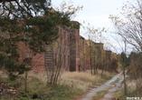 Bloki mieszkalne popadają w ruinę, a dawne parki porasta dzika roślinność
