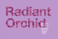 architektura-wnetrz-pantone-kolor-roku-2014-trendy-w-architekturze-wnetrz/architektura-wnetrz-pantone-kolor-roku-2014_7