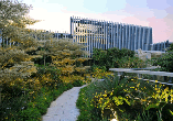 Nowoczesna architektura Dalekiego Wschodu: sześć najlepszych ogrodów na dachach Singapuru
