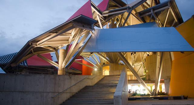 Biomuzeum w Panamie - Frank Gehry -widok na schody