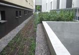 Architektura Warszawy – spacery po dachach 