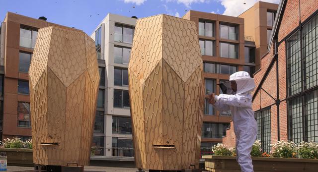 Rezydencje mieszkalne dla pszczół w Oslo autorstwa pracowni architektonicznej Snøhetta