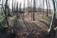 Zdjęcia z tyczki - stanowisko archeologiczne