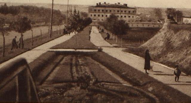 Świeżo założone planty, Równe 1935. Fot. Polona