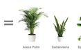 Biophilic vademecum