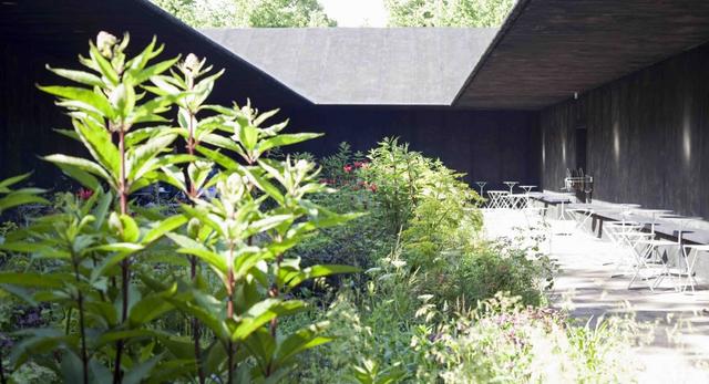 Tajemniczy ogród w Londynie – czyli The Serpentine Gallery od Petera Zumthora