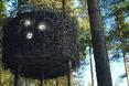Schronienie w sercu lasu - Tree Hotel