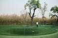 Przekopaliśmy się do Chin - ogród The Big Dig biura Topotek 1 na Międzynarodowej Wystawie Ogrodniczej w Xian