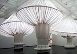 Nowe szaty Brooklińskiego Muzeum - aranżacja wnętrza Głównej Hali Situ Studio