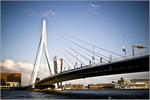 Erasmusbrug