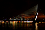 Erasmusbrug w Rotterdamie