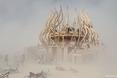 Festiwal Burning Man