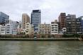 budynki nad rzeką Sumida