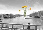ATRAKCJE HOLANDII. Tulipan i tulipanowy PROJEKT MOSTU dla Amsterdamu