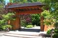 Tajemniczy ogród w japońskim stylu prosto z Wrocławia