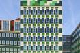 Zielone domy Holandia 10