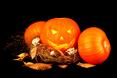 Rozmaicie wycięte wzory w skórze dyni to juz symbol Halloween i nie może go zabraknąć w naszym wnętrzu