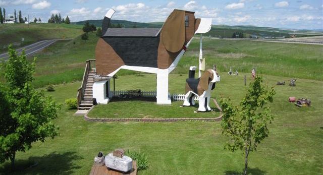 Architektura: co zobaczyć w Idaho. Hotel w kształcie ogromnego psa beagle. Taka architektura tylko w USA! Hit czy kit? Galeria zdjęć