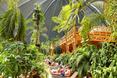 warto-zobaczyc-tropical-island-bryla-berlin/warto-zobaczyc-tropical-island-bryla-berlin_25.JPG