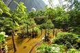 warto-zobaczyc-tropical-island-bryla-berlin/warto-zobaczyc-tropical-island-bryla-berlin_34.JPG